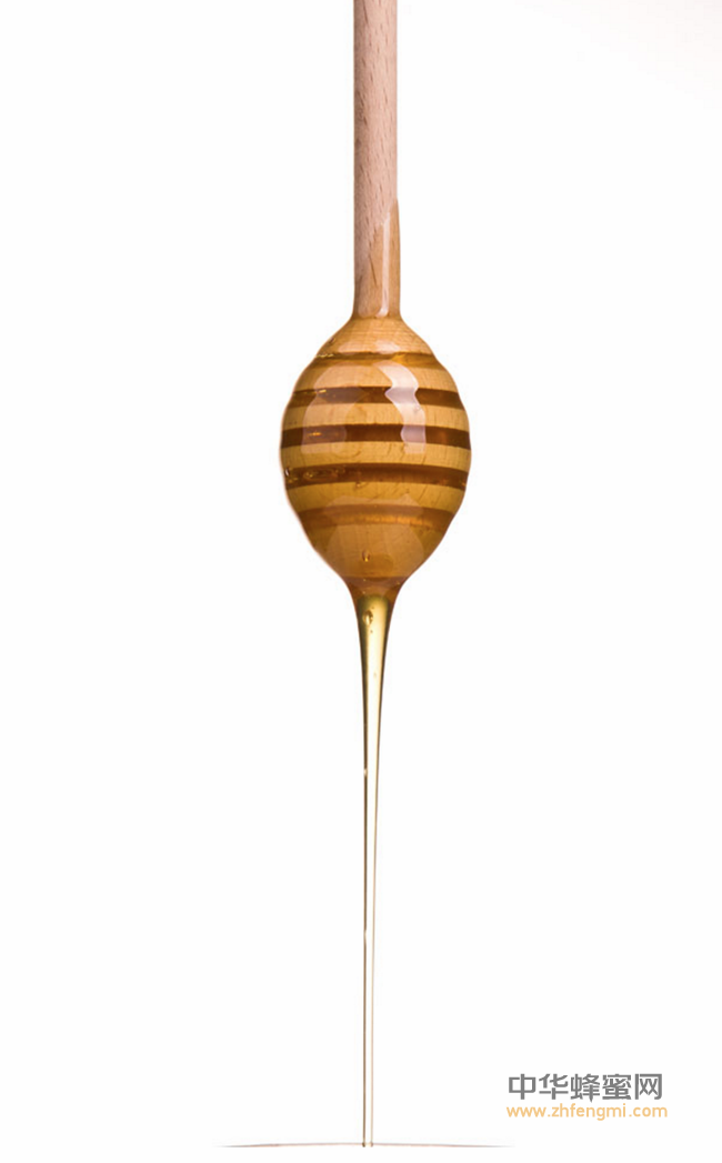 一篇文章让你明白：洋槐蜜为什么是稀的？