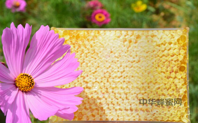 春季喝蜂蜜的五大好处