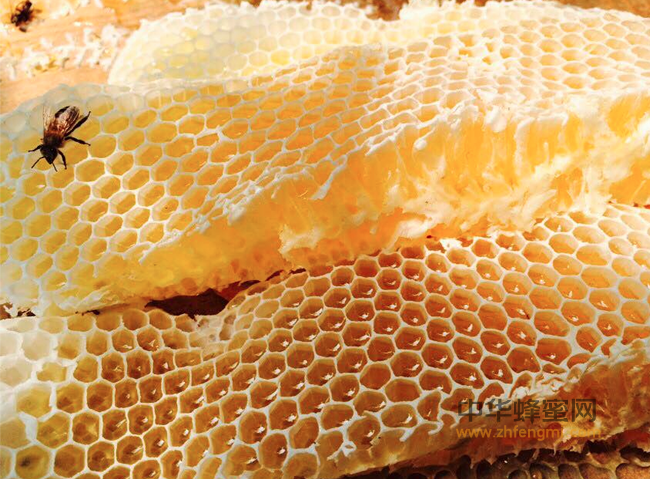 蜂蜜的功效及作用和食用方法:
