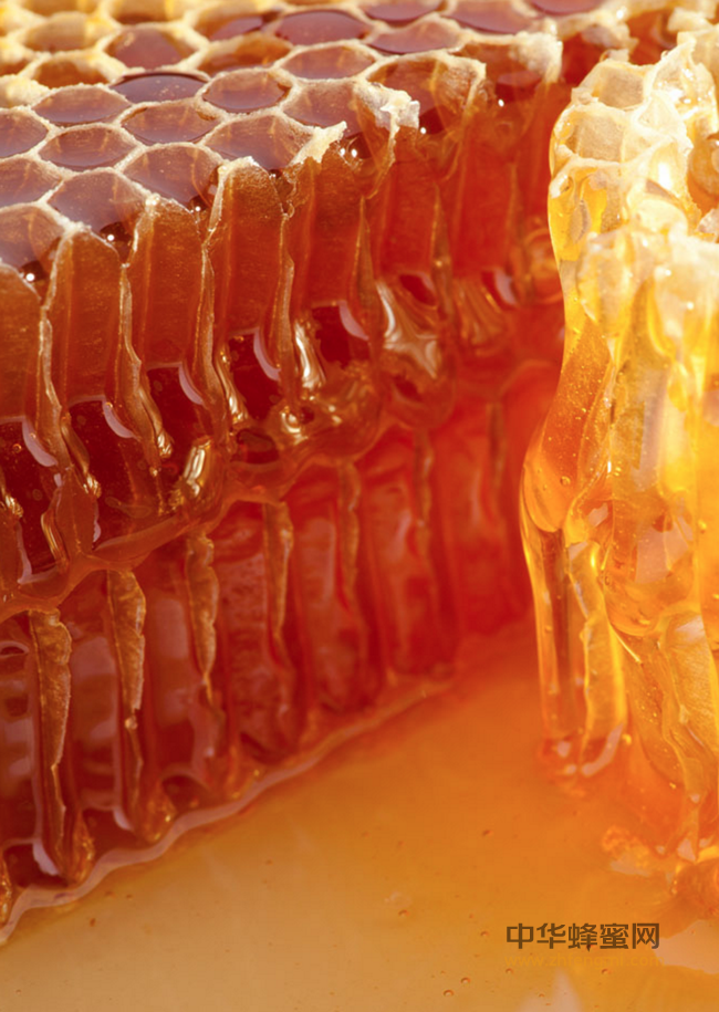 蜂蜜加“它”淡斑去皱不留痕~
