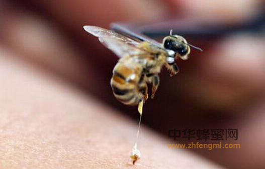 别把蜂蜜制品当成蜂蜜