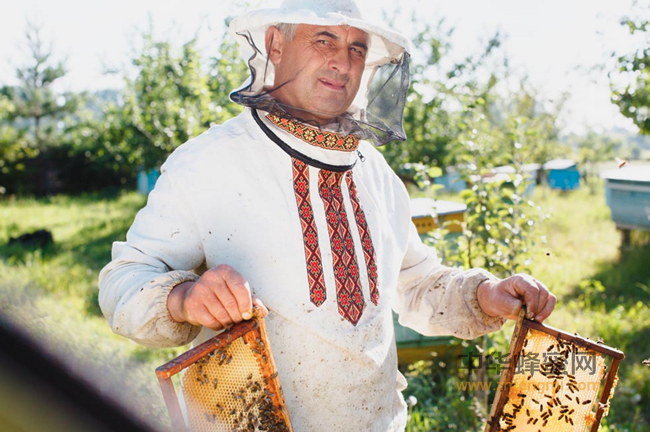 石器时代蜂蜜就是人类饮食的一部分！