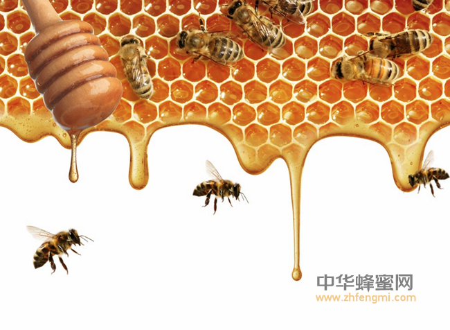 神奇的蜂蜜，带给我们的不仅仅是甜蜜！