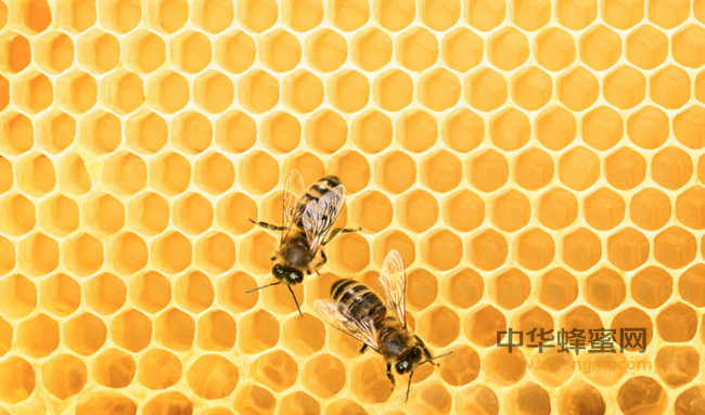 每天应吃蜂花粉多少最好