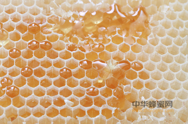 蜂蜜可以美容，那蜂王浆呢？哪个美容效果更好？