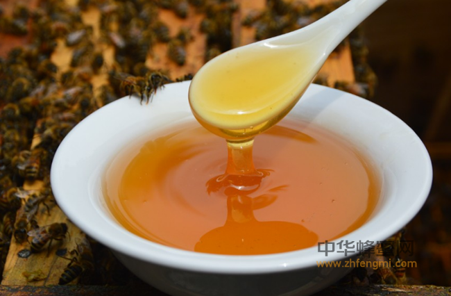 蜂蜜加醋减肥法，两种方案任你选