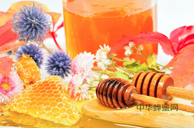 老年人吃蜂蜜可提升五大健康指标！！