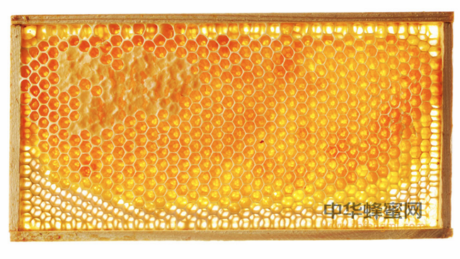 蜂王浆能称得上“液体里的黄金”，功效可不是吹的！