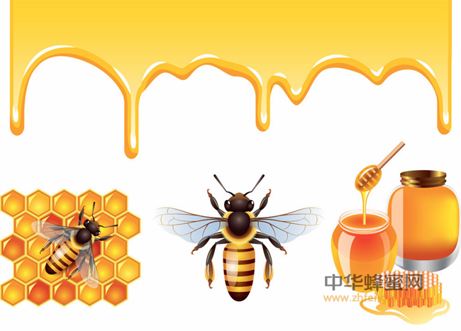 蜂蜜不能和小葱同食，却可用小葱鉴别蜂蜜真假，简单实用。