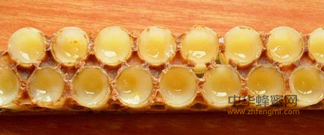 蜜蜂养殖5个小经验