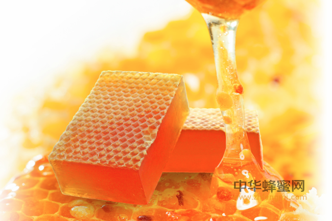 中国目前最常见的单品种蜜有哪些！