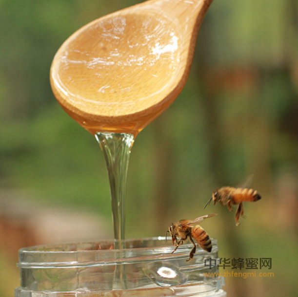 蜂蜜泡一宝，疏通血管、养肝护肝
